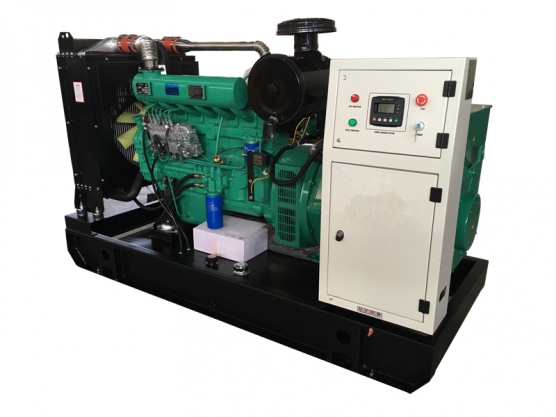 12kw-300kw Ricardo Engine Generator 